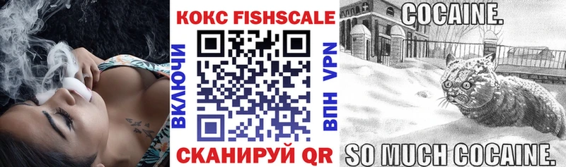 Кокаин Эквадор Партизанск