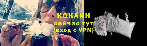 шишки Наволоки
