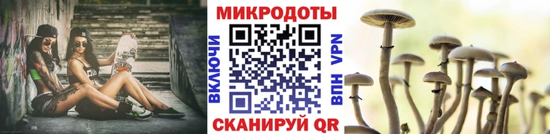 купить наркоту Партизанск Псилоцибиновые грибы Magic Shrooms