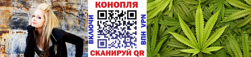 Конопля ГИДРОПОН  Партизанск 