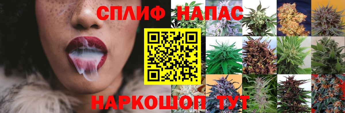 Каннабис семена Партизанск
